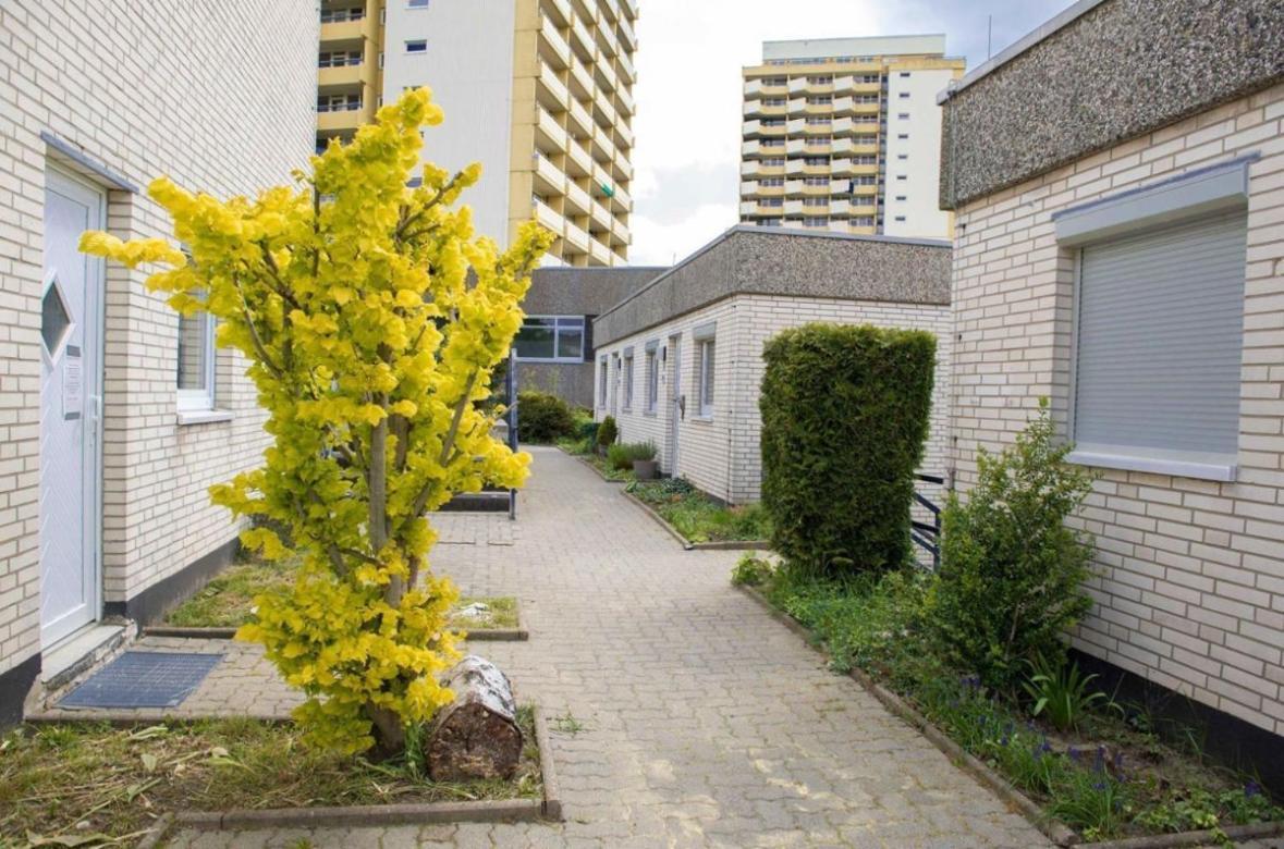 Ferienwohnung 479 Mit Schwimmbad,Sauna Und Bar In Panoramic Hohegeiss Braunlage Esterno foto